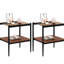 Table de bout Modern Living Room de 2 pièces en verre trempé gris et tablettes-1304693659-1304693656
