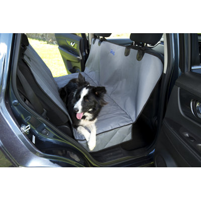 Collapsible Pet Carrier