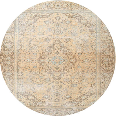 Codel Oriental Indoor Rug