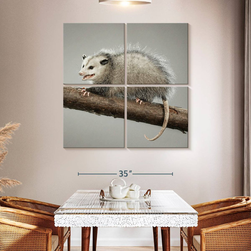 Brampt Snarky Opossum, 18" H x 18" W