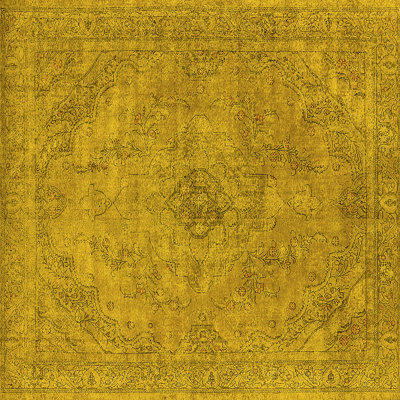 Evagrace Performance Oriental Indoor Rug