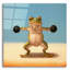  «Gym Frog Dumbell L latéral Raise» par Lucia Heffernan, art mural en verre acrylique, 12 po x 12 po