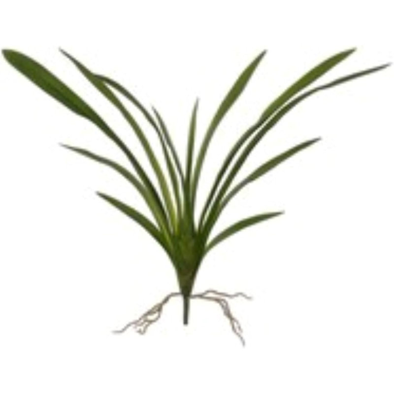 26" Cymbidium Leaf Cluster- 3 Pack