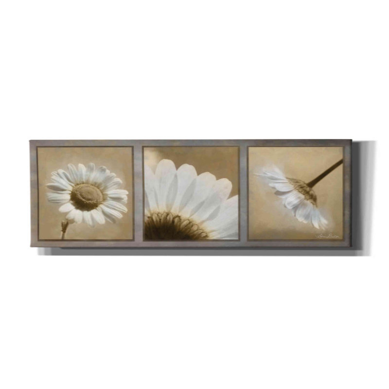 «Daisy Trio» par Lori Deiter