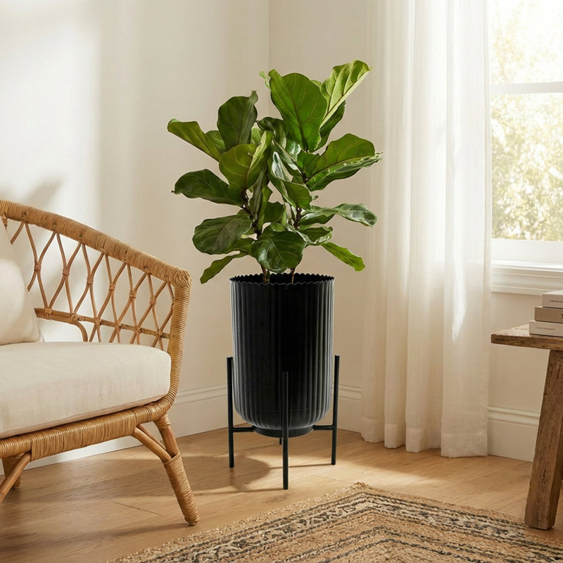 Boîte à fleurs ronde 6 "avec support noir, Black