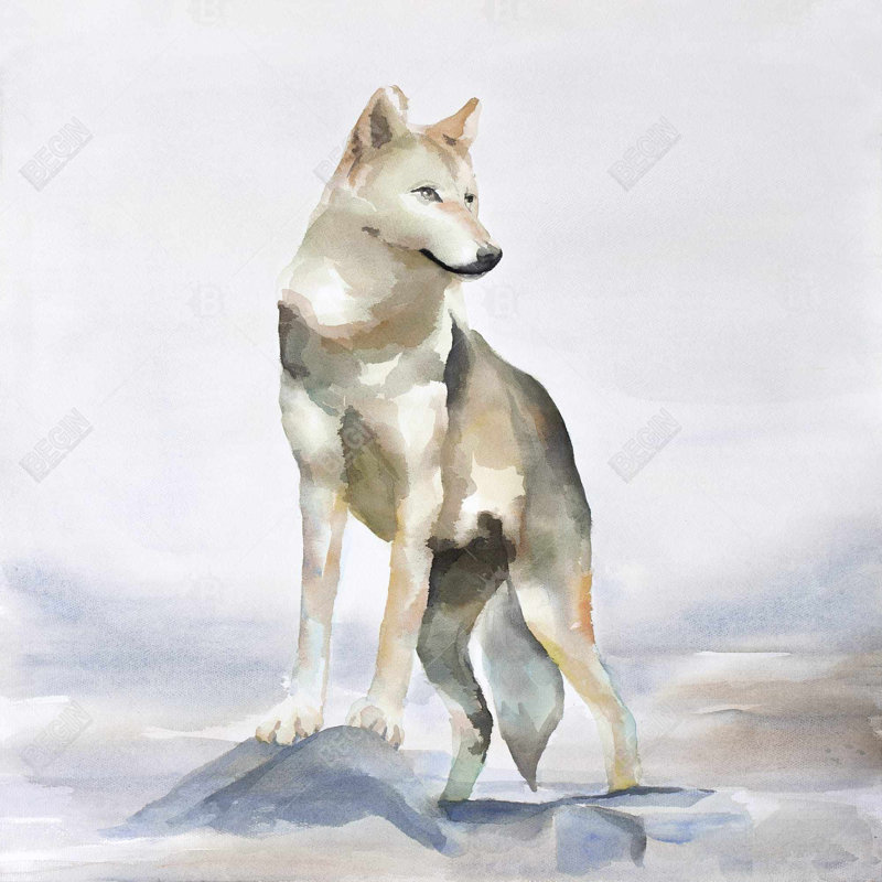 Wolf - 16"x16" Outdoors Throw pillow - Spun poly - Print on demand