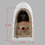 1.28 GPF Elongated ADA Height One Piece Dual-Flush Toilet with Soft-Closing Seat,MAP Flushing 1000G-1099345487