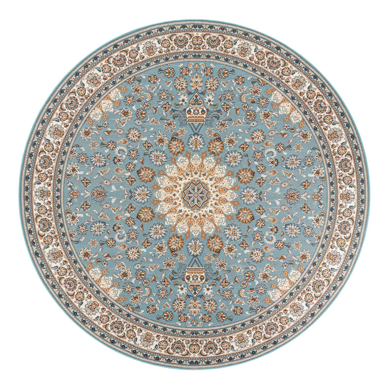 Indoor/Outdoor Traditional Area Rug, Round 10'