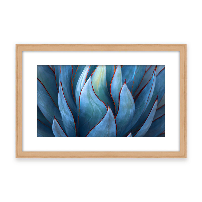 Nature Inspired Blue Agave Abstract by  - Picture Frame Graphic Art on Paper, 16" H x 24" W x 1.125" D, Black