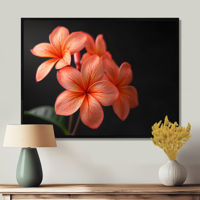 Décoration murale Kinsman - Plumeria