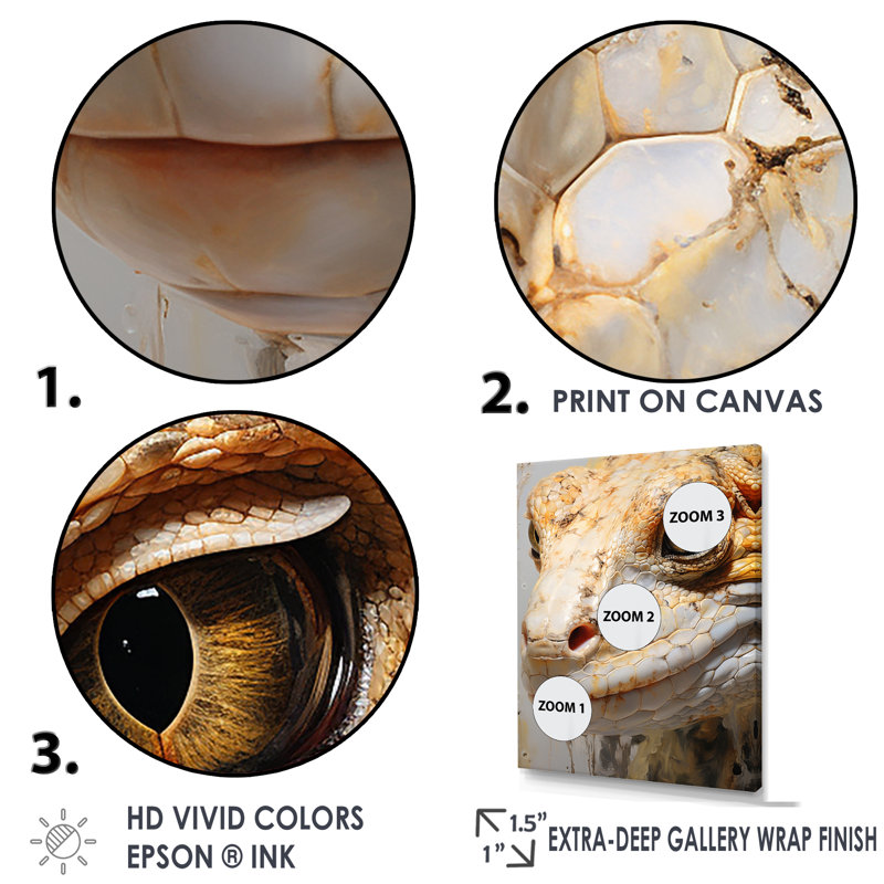Curious Reptile Amphibian II - décoration murale Reptile / Amphibian, Cadre naturel flottant, H 40 po x l 30 po