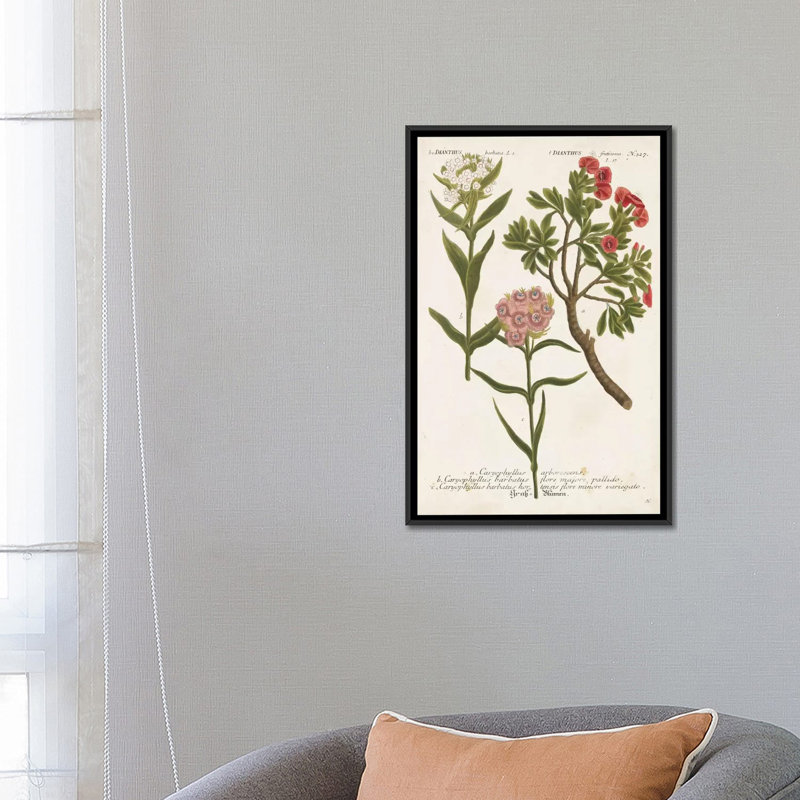 « botanique varietes iv », impression sur toile, H 26 po x l 18 po x P 1,5 po, Toile avec cadre noir, Pas de tapis