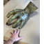 Statue taille réelle Alynda Graveyard Zombie