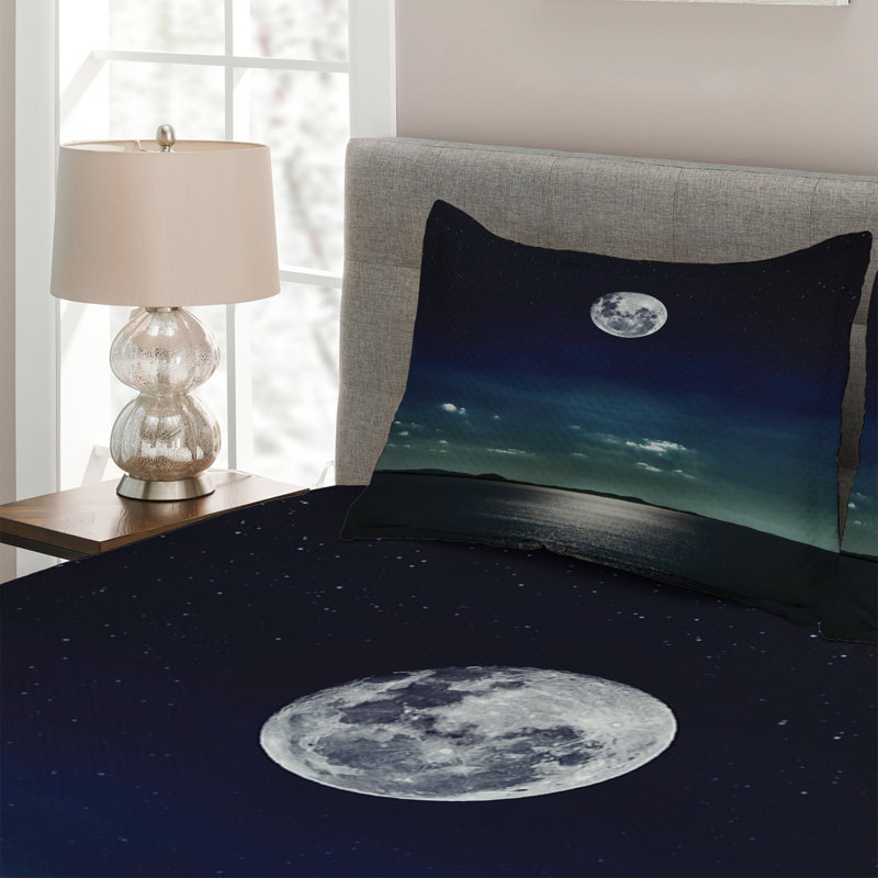 Hypnotic Modern & Contemporary Coverlet