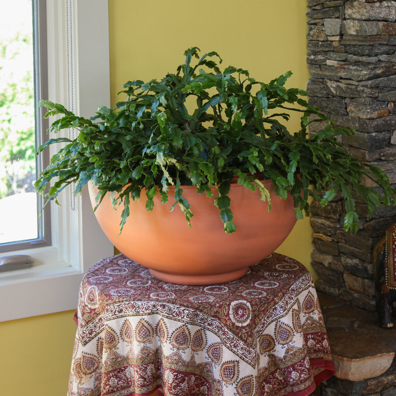 Burnt Sienna Galvanized Steel 12" Bowl Planter