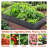 Galvanized Raised Garden Beds Outdoor // 8×4×1 Ft Planter Raised Beds For Gardening, Vegetables, Flowers // Large Metal Garden Box-2037104058-2037104057