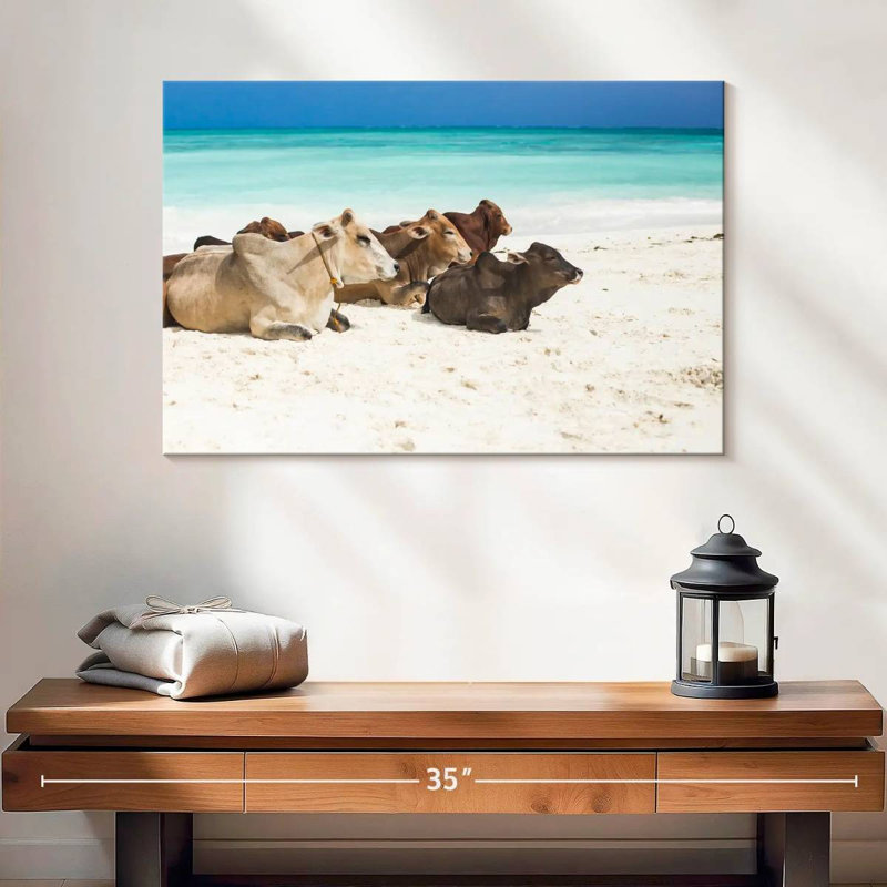 Crowle Zanzibar Beach Bétail, H 16 po x l 24 po