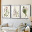 Antique Botanical Collection I - Impression personnalisée de qualité supérieure avec cadre mat - 3 pièces-1819233692-1819233691