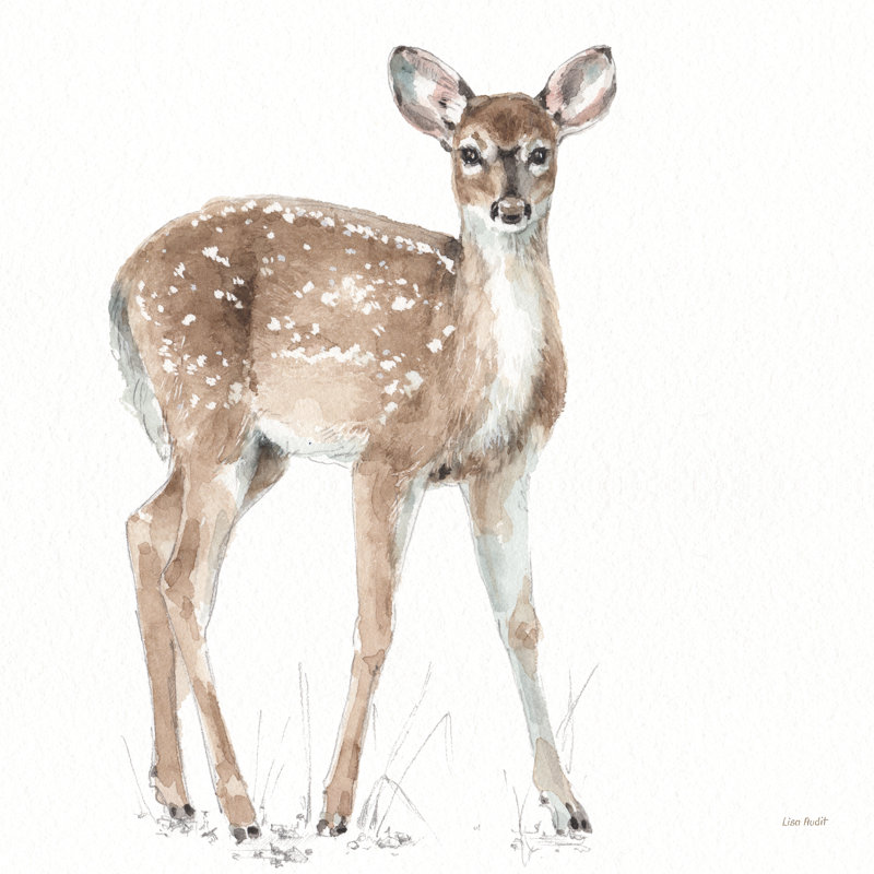 " Forest Friends XII " by Lisa Audit Painting Print, 30" H x 30" W  