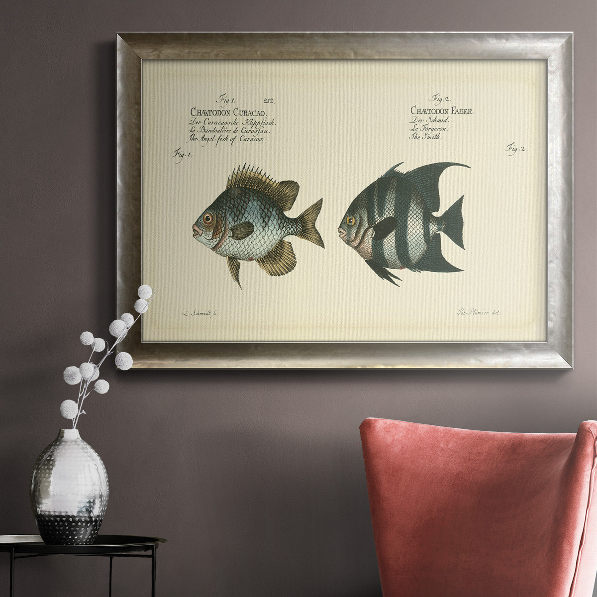 Ocean Fish Vintage Print 18