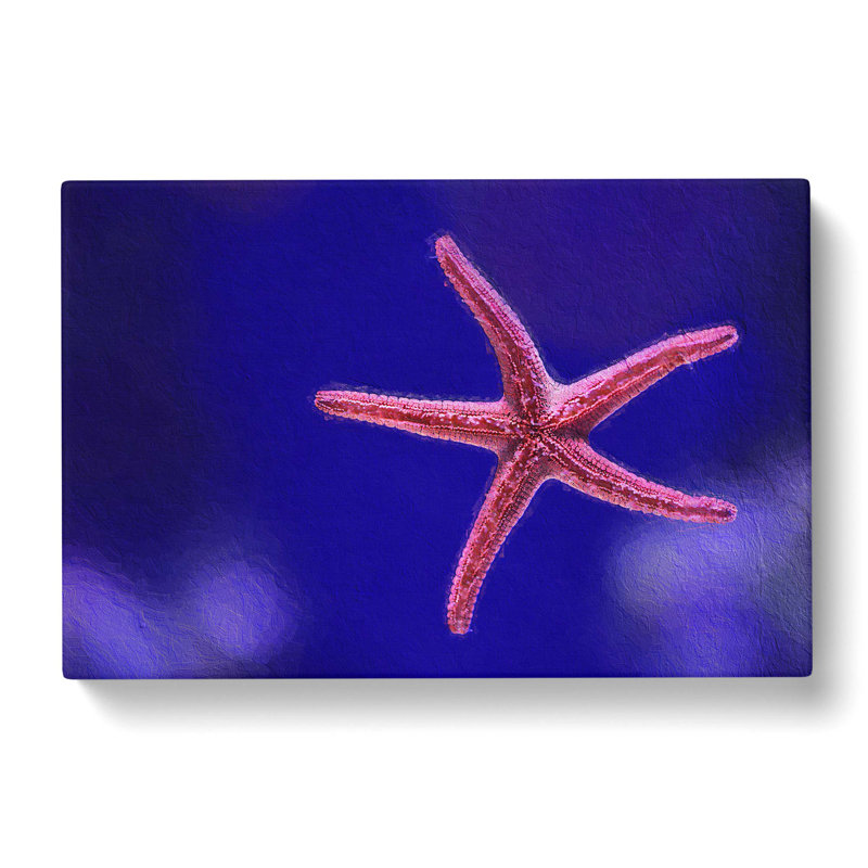 Pink Starfish - Wrapped Canvas Print, 40cm H x 60cm W x 3cm D