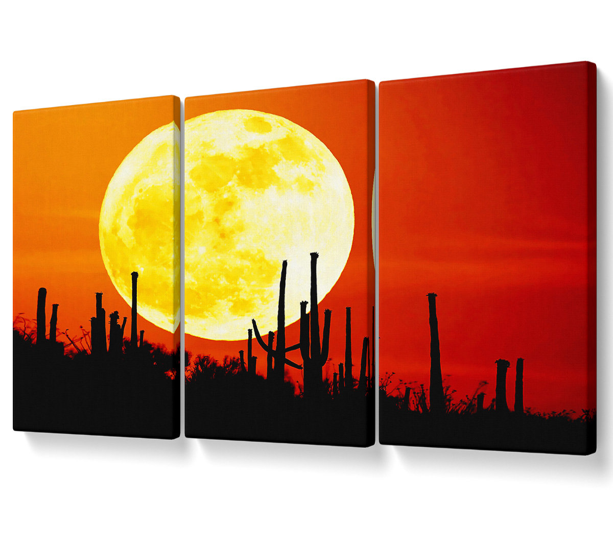 Ebern Designs Red Moon Cactus - 3 Piece Wrapped Canvas Graphic Art ...