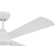 Provision 52'' Ceiling Fan