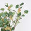 35 "H Spring Summer Eucalyptus Cluster Bush