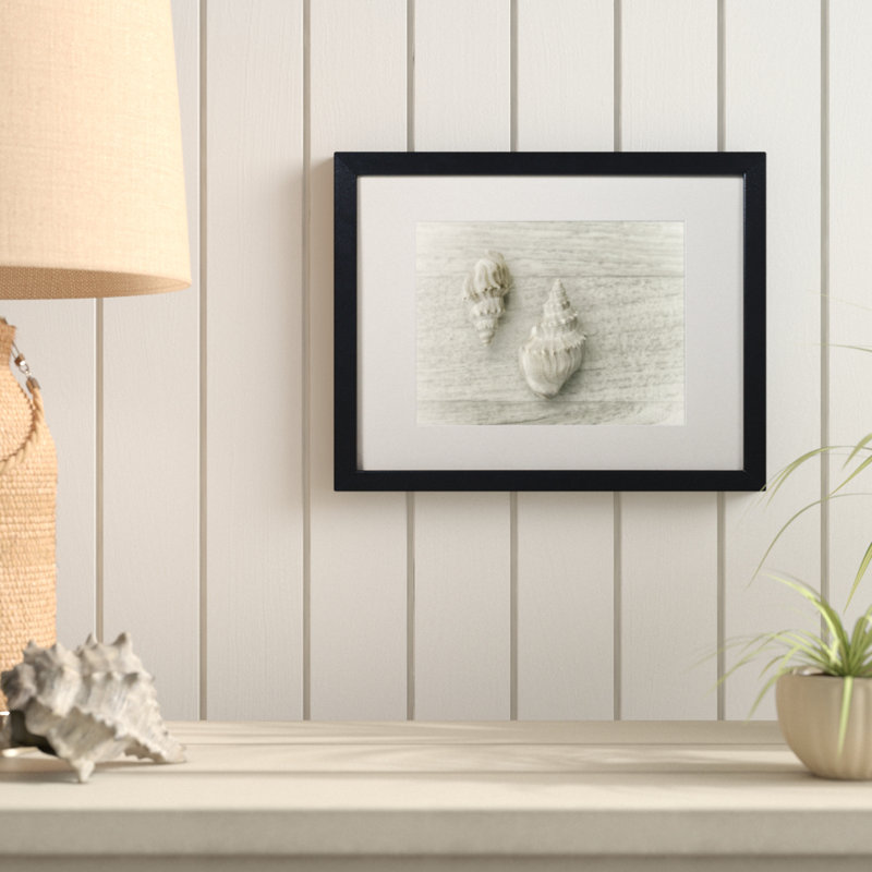 « two cancellara shells », reproduction de photo sur toile encadrée, H 11 po x l 14 po x P 0,5 po, argent