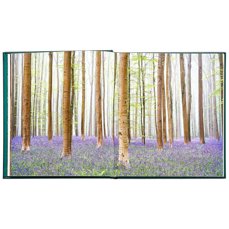 The Hidden Life Of Trees Leather Bound Book