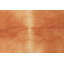 Tapis rouge Coral
