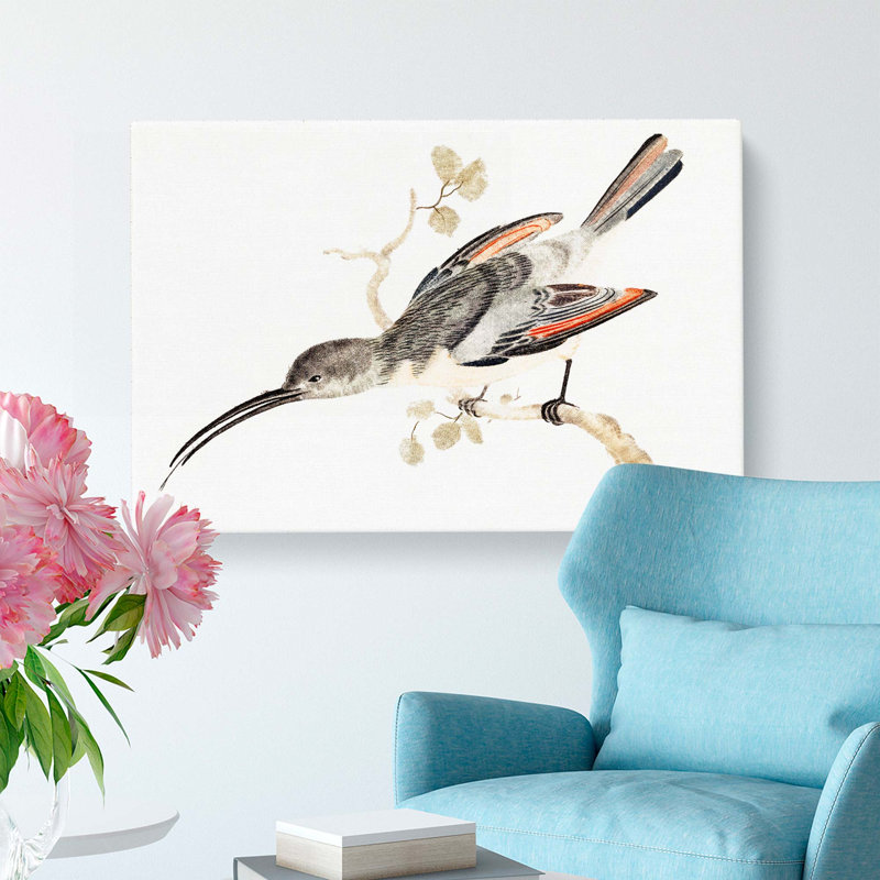 Hummingbird by Johan Teyler - Wrapped Canvas, 50cm H x 76cm W x 3cm D