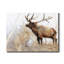 Orignal majestueux - reproduction sur toile tendue-1811329537