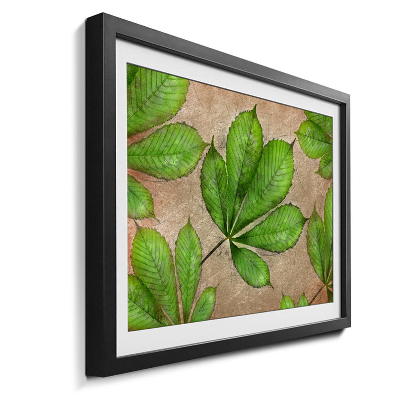 Streetart Chestnut - Single Picture Frame Print, 44cm H x 64cm W x 2.2cm D