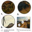 Wind Turbines Coastal Propeller I, reproduction d'art sur toile-2104705483-2104705480