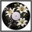 Élégante œuvre d'art sur disque vinyle blanc Lily, images de thème musical minimaliste, impression sur toile encadrée-126030517-126030519