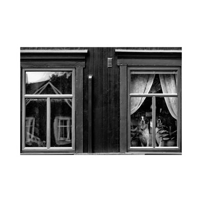 The Dogs II 1 Piece Wrapped Canvas Wall Art