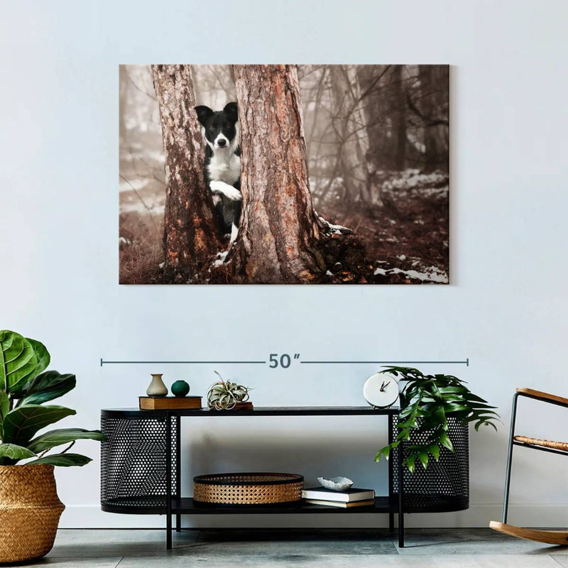 Border collie ludique, H 30 po x l 45 po