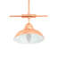 Irasville 3 - Light Kitchen Island Pendant-21042478