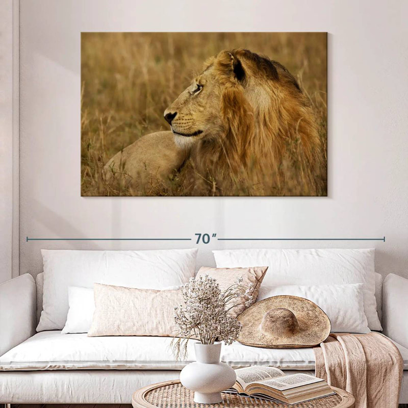 Lion au repos dans le Serengeti, H 32 po x l 48 po