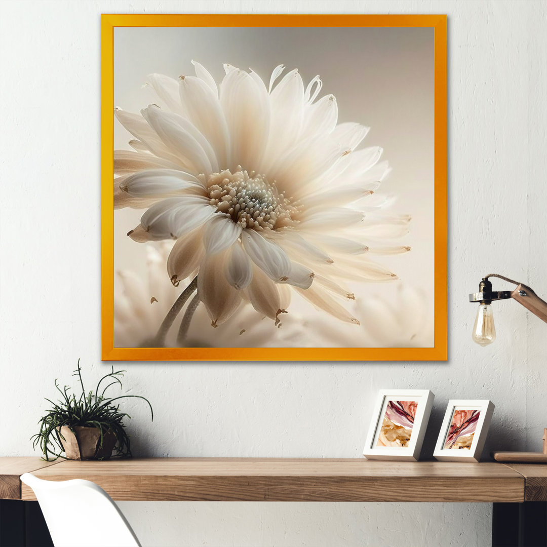 White Gerbera Flowers III - Gerbera Canvas Art Hokku Designs