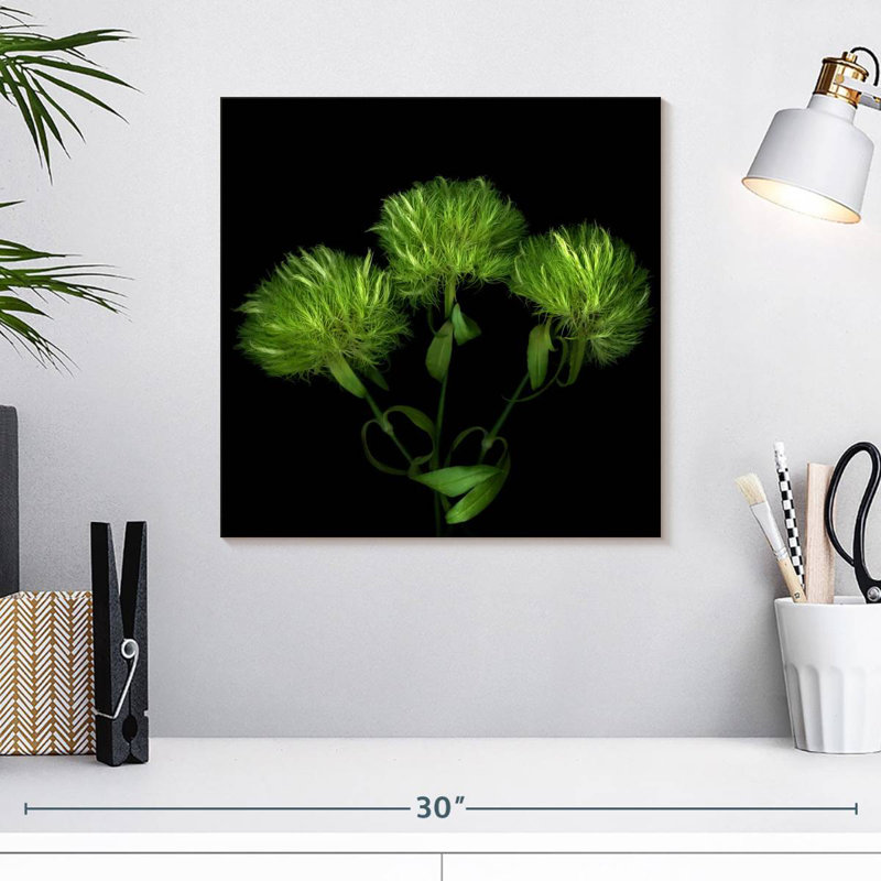 Harnek Green Pompons, H 16 po x l 16 po