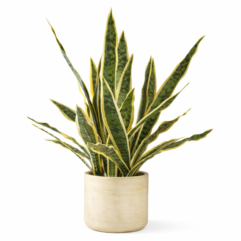  Lifelike Snake Plant In Planter, 7" Dia & 27.5" Tall