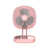 Pink est en rupture de stock