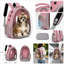 Sac à dos de transport pour animaux de compagnie pour chats et petits chiens, transporteur de bulles avec ventilation en filet et laisse de sécurité -124267352