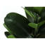 Plante en fausse toile de polyéthylène 28 po Mcgee