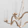 Acari 6 - Light Dimmable Wagon Wheel Chandelier