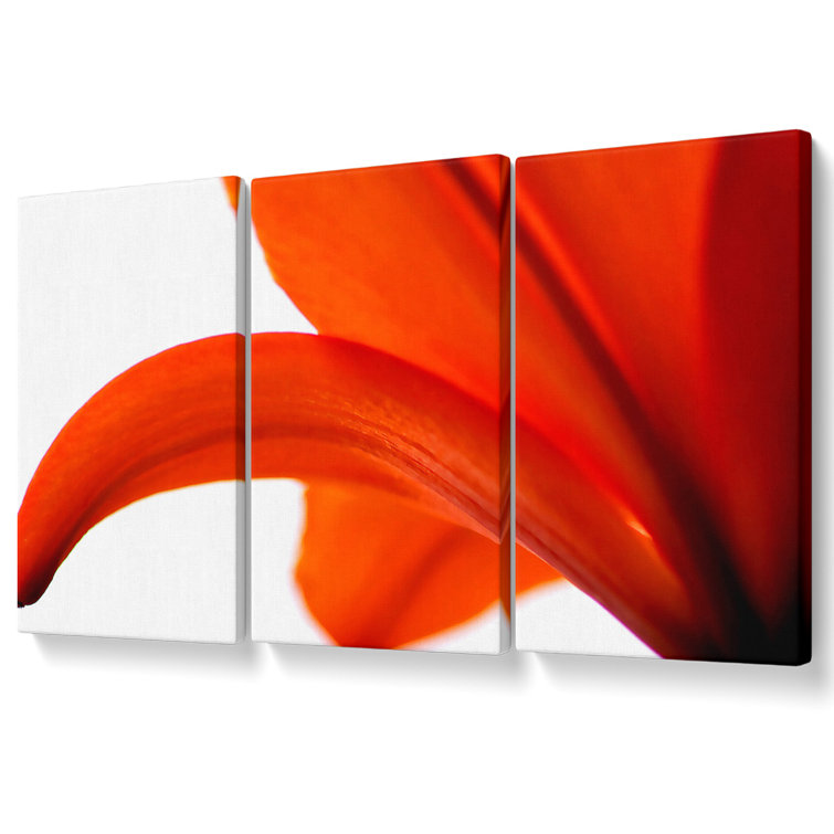 Lily On White Background - 3 Piece Wrapped Canvas Print