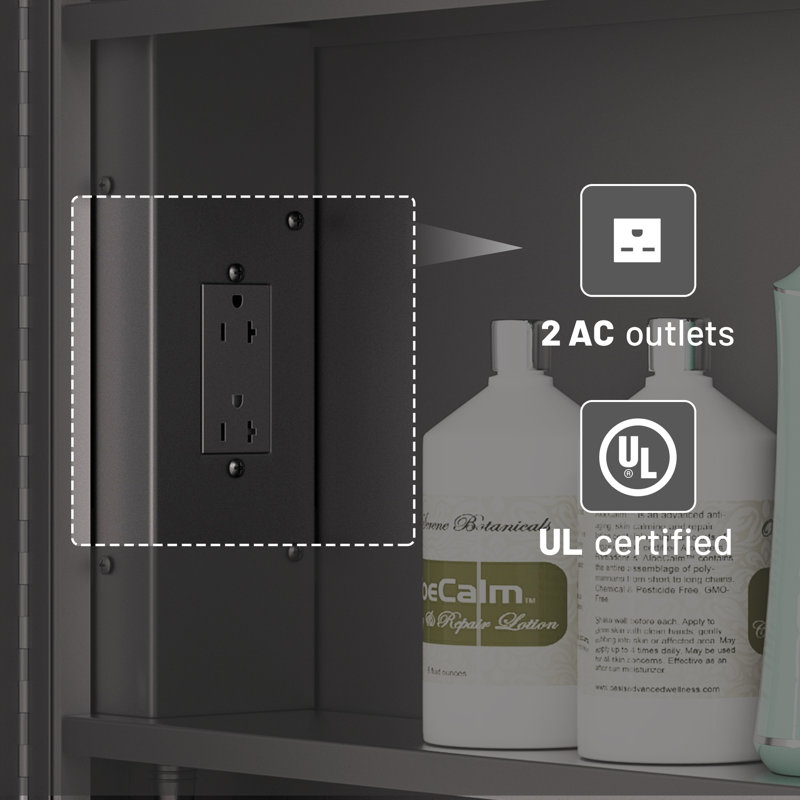 Gervon Lighted Surface Framed Round Medicine Cabinet Mirror Adjustable Shelf & AC Outlets, 30" H x 30" W x 4.7" D, Black