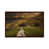 Classic Brown Wood Framed is unavailable